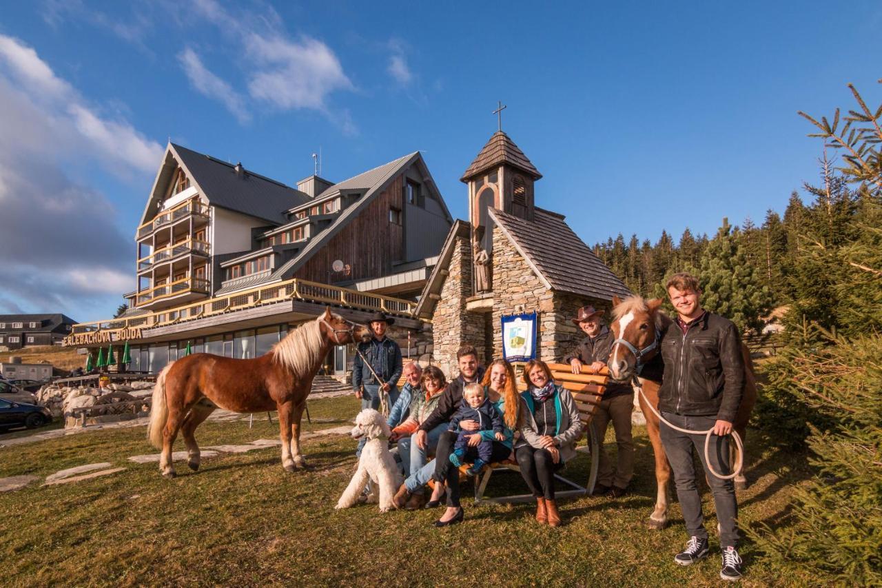 圣弗朗蒂舍克度假胜地 - 俄里拜科夫布达酒店 Špindlerŭv Mlýn 外观 照片